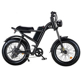 Riding Times  Z8 Electric Bike - PREORDER - ETA NOVEMBER END.